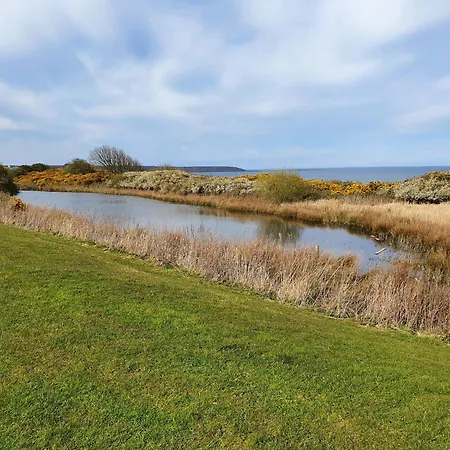 度假居 Puffin 法利