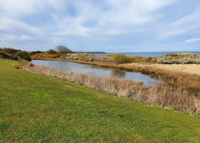 Hébergement de vacances Puffin Filey